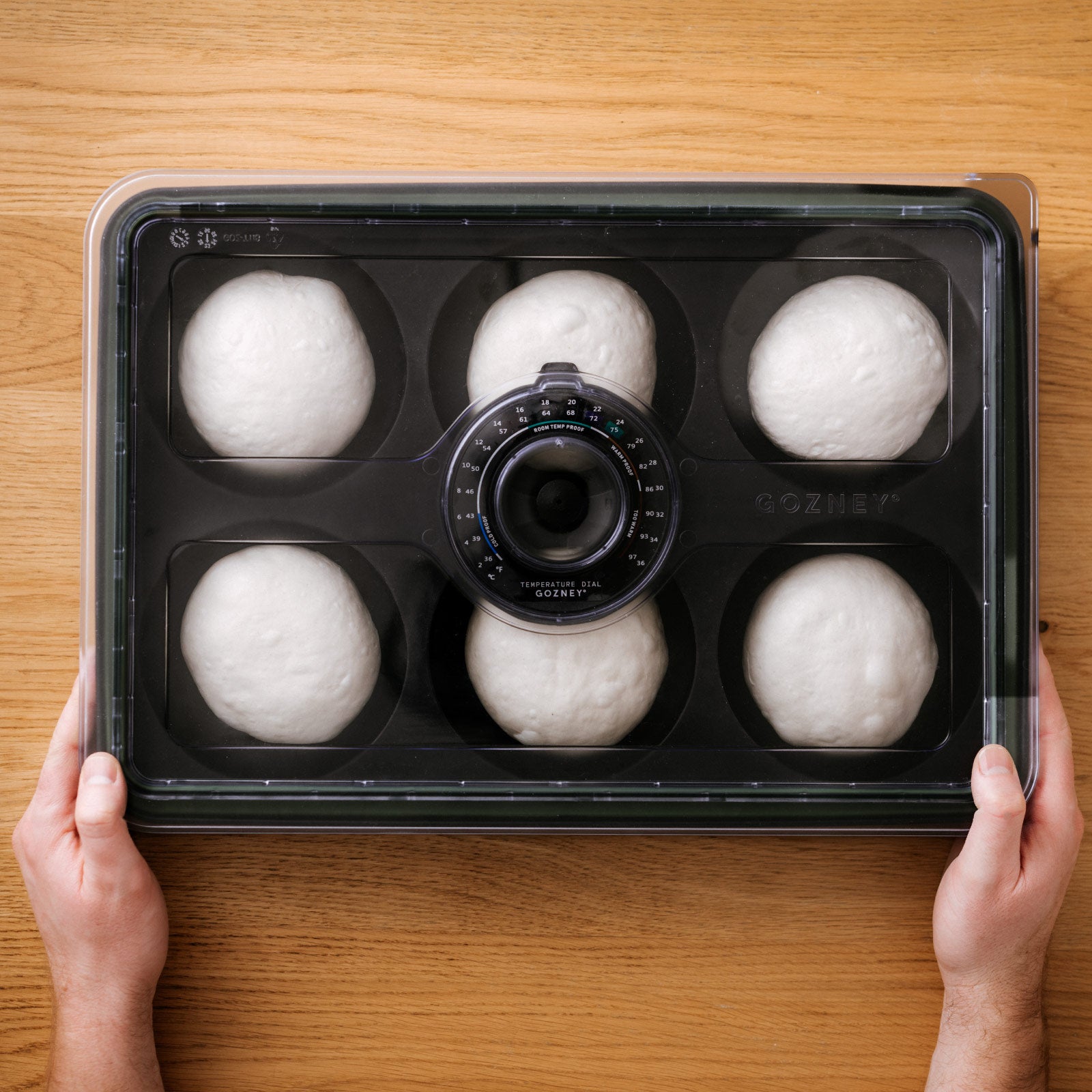 DoughTray_BuyBoxAmbient1.jpg